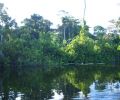 Amazonas Colombia 