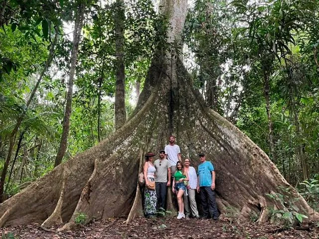 Grupo de visitantes al pie de una ceiba o lupuna gigante con raíces tablares en la selva amazónica