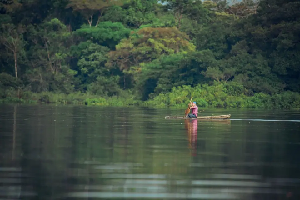 Osservazione della fauna fluviale durante un tour in Amazzonia da Leticia